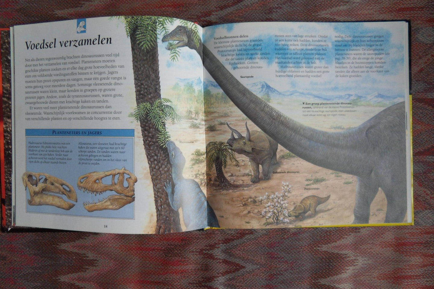 Johnson, Jinny. - De prehistorie verklaard. - Een beginnersboek over de wereld van de dinosaurussen.