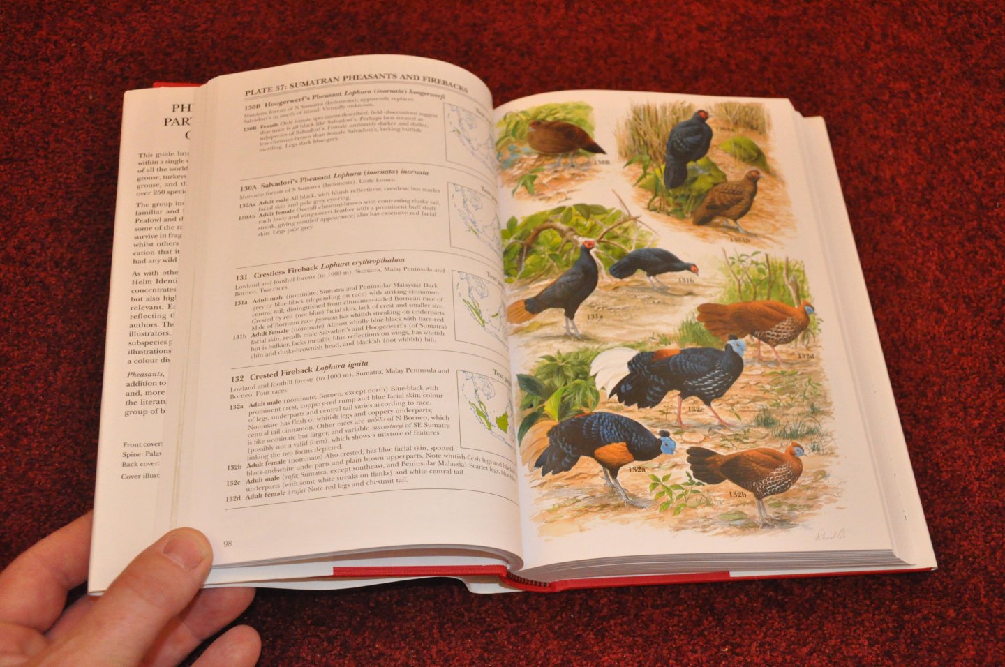 Madge, Steve / McGowan, Phil - Pheasants, Partridges and Grouse. Including buttonquails, sandgrouse and allies