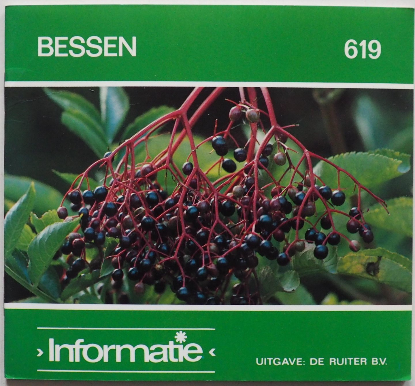 Jongh Maarten de - Bessen Informatie 17e reeks nr. 619, 4e kwartaal 1985