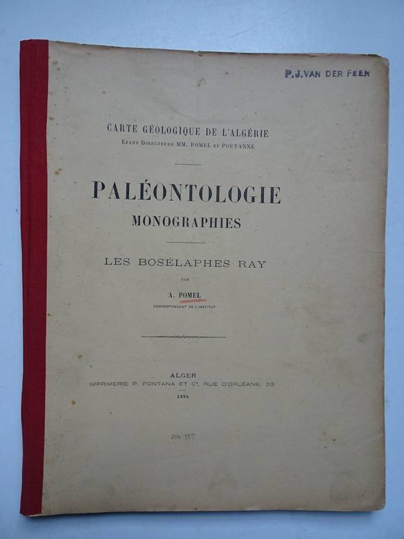 Pomel, A.. - Paléontologie monographies/ les bosélaphes ray; carte géologique de l'Algérie.