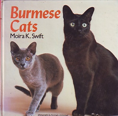 moira K.Swift - burmese cats