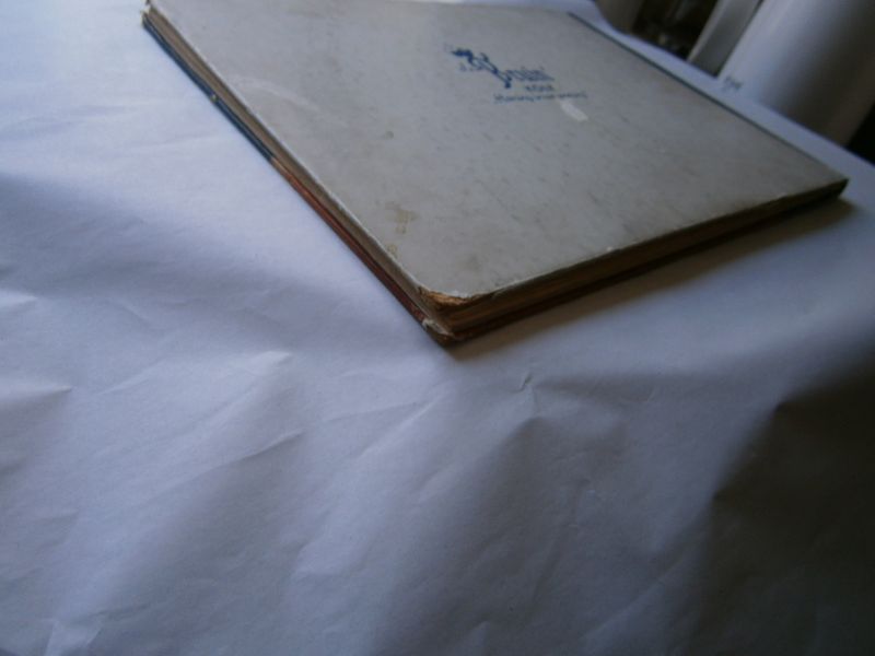 Wilvoort, Hans van - Vliegende Hollanders