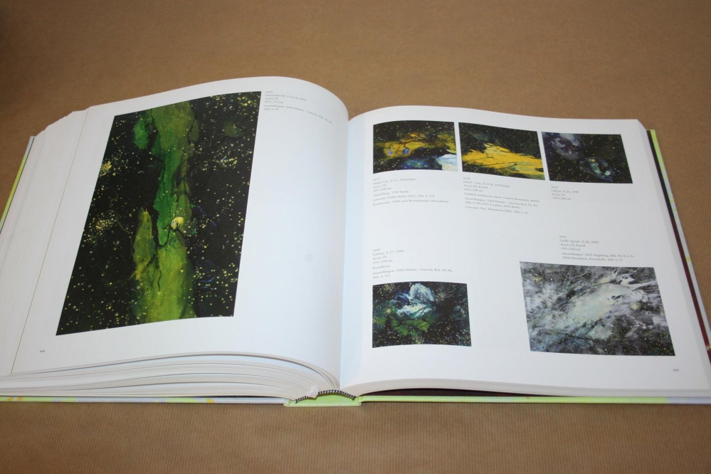 Anuschka Koos - Bernd Zimmer - Bilder auf Leinwand  - Werkverzeichnis 1976-2010