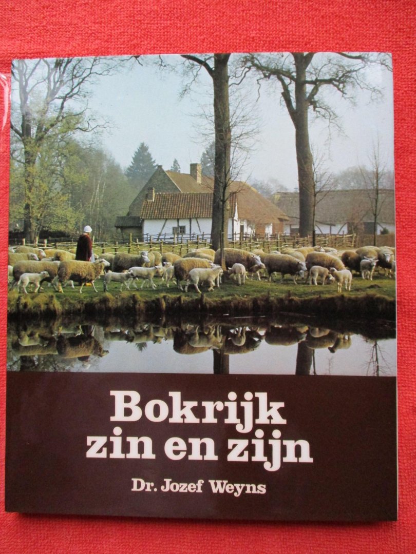 Weyns, Jozef - Bokrijk, zin en zijn.
