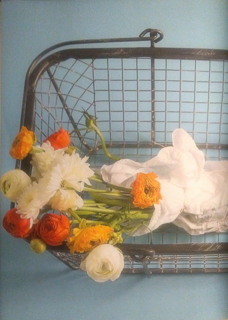 Smith, Delia . [ isbn 9780091922290 ] - Delia's How to Cheat at Cooking . (In How to Cheat at Cooking, Delia has sourced a range of pre-prepared foods (from tins, chill cabinets, freezers and store cupboards) to help you short circuit cooking times and techniques.    -