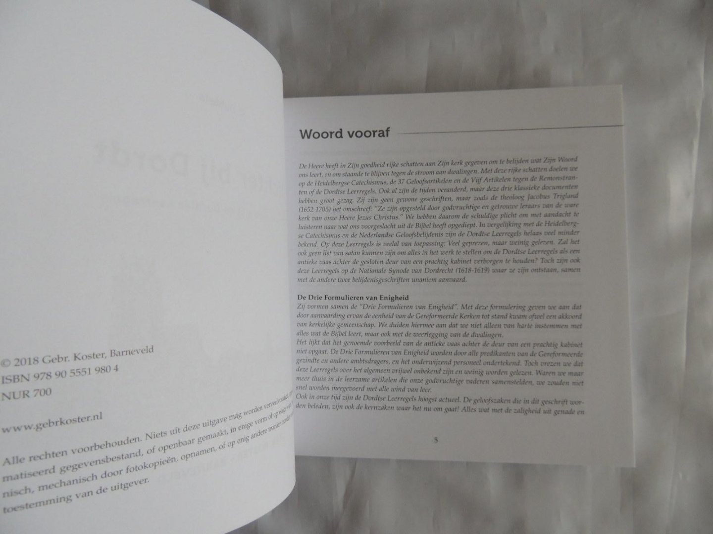 Dubbeld, C. - Dichter bij Dordt. Kennis maken met de Dordtse Leerregels.