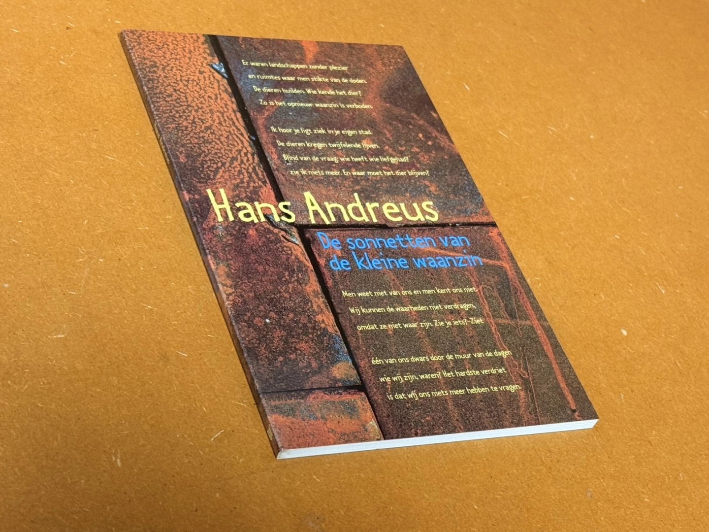 Hans Andreus - De sonnetten van de kleine waanzin