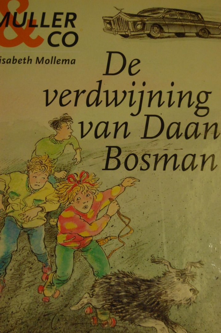 Mollema, Elisabeth - De verdwijning van Daan Bosman