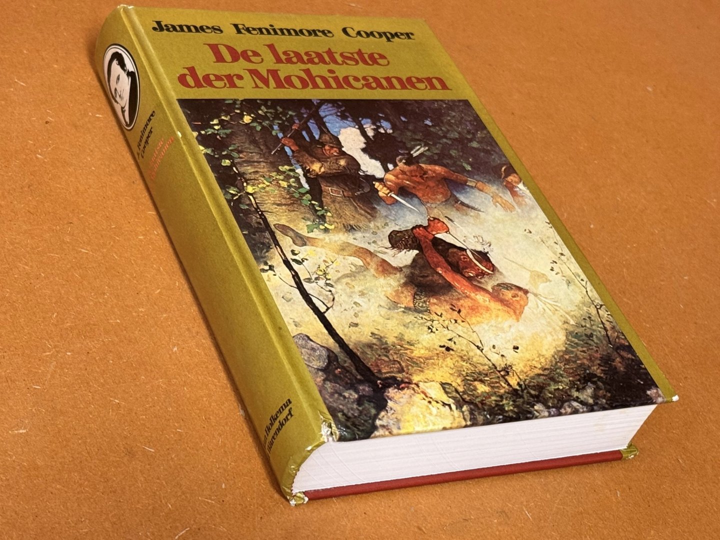 James Fenimore Cooper; Paul Schultink (vertaling) - De Laatste der Mohicanen
