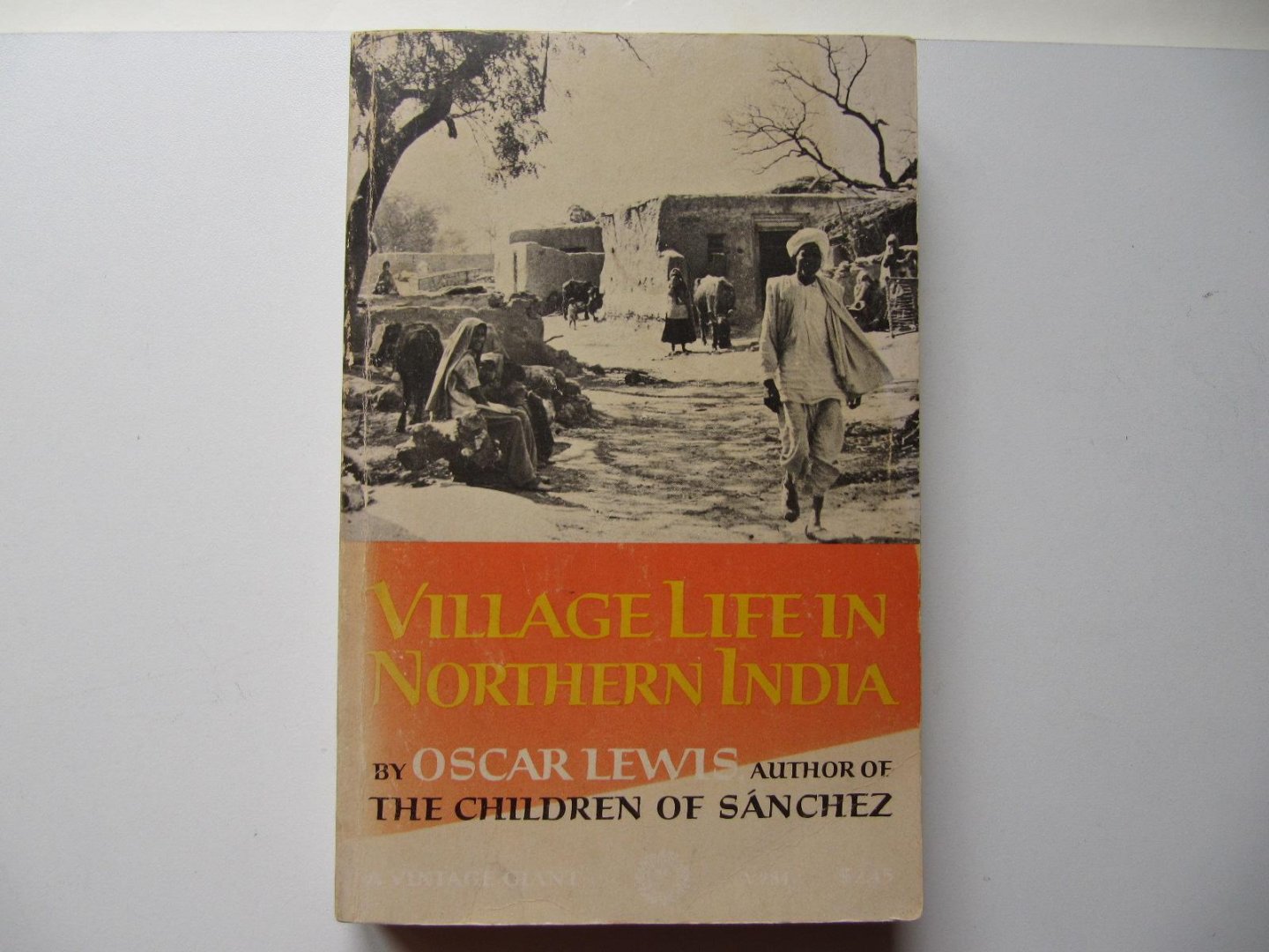 Oscar Lewis - Village Life in Northern India
