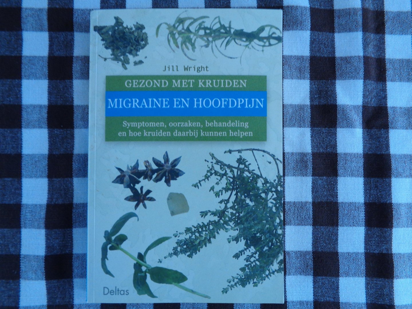 Wright, J. - Gezond met kruiden / 53 Migraine en hoofdpijn