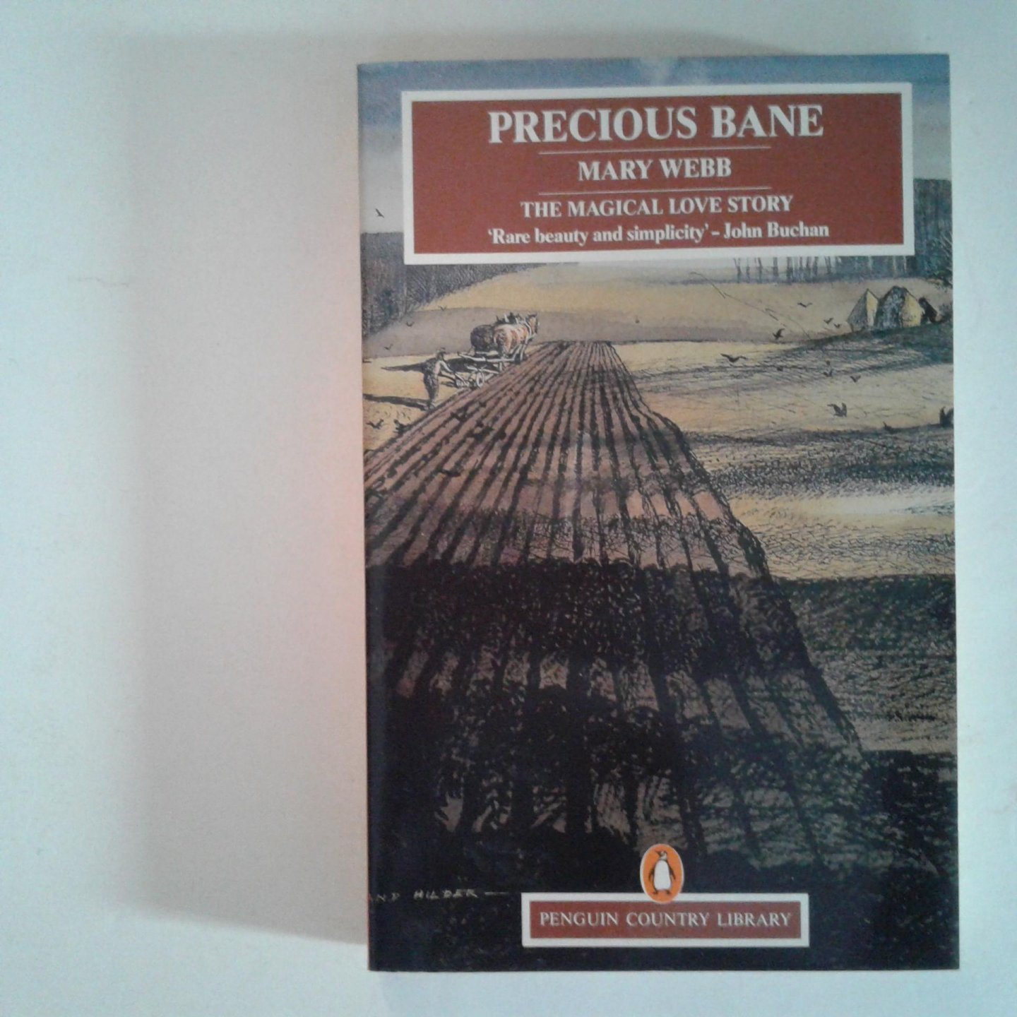 Webb, Mary - Precious Bane