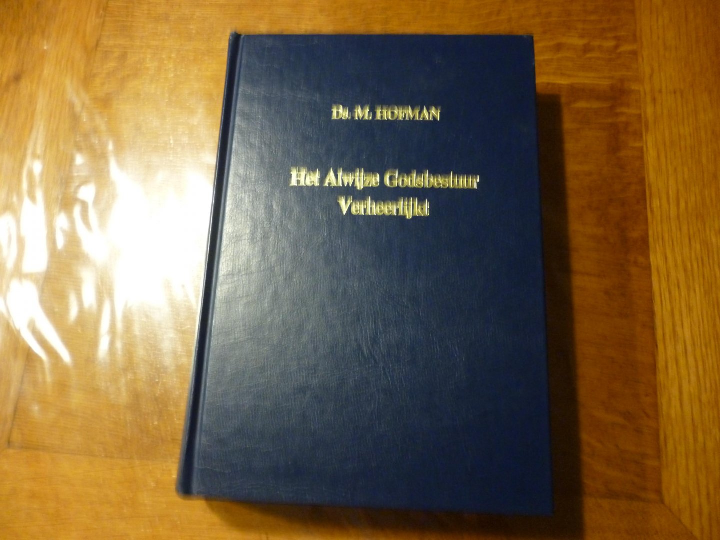 hofman M. - het Alwijze Godsbestuur verheerlijkt