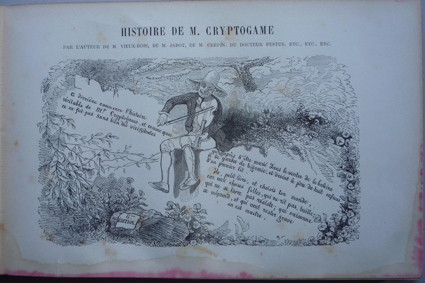 Töpffer, Rudolf - Histoire de M. Cryptogame (Franse uitgave Prikkebeen)