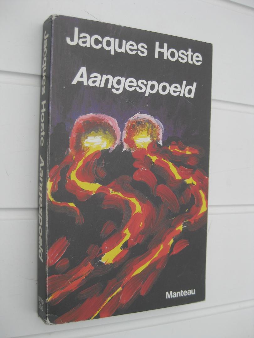Hoste, Jacques - Aangespoeld.