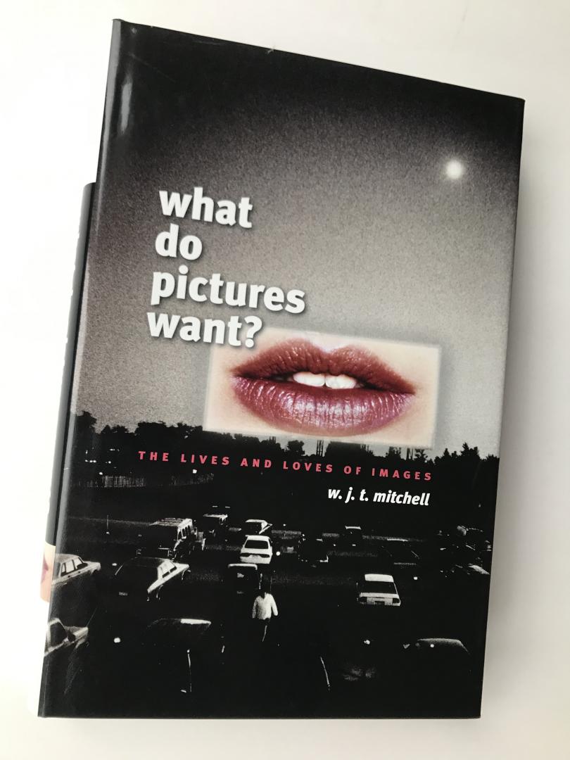 W.J.T. Mitchell - What Do Pictures Want? The Lives and Loves of Images