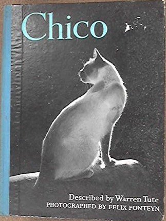 Tute, Warren - Chico, photographed by Felix Fonteyn