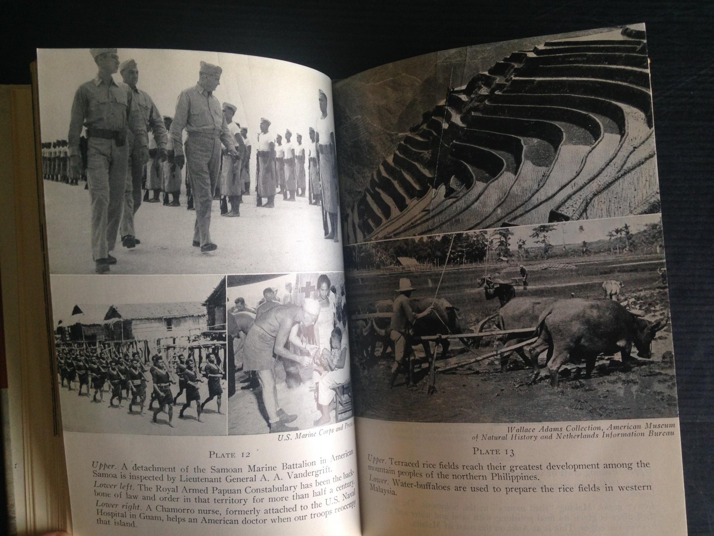 M.Keesing, Felix M. - Native Peoples of the Pacific World