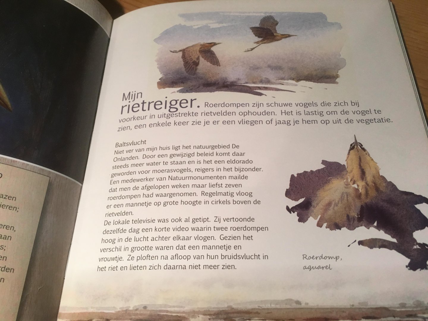 Ommen, Erik van - Mijn Reigerparadijs - vogels zien, beleven en tekenen