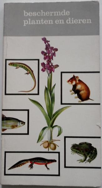 Schimmel, H J W - Beschermde planten en dieren.