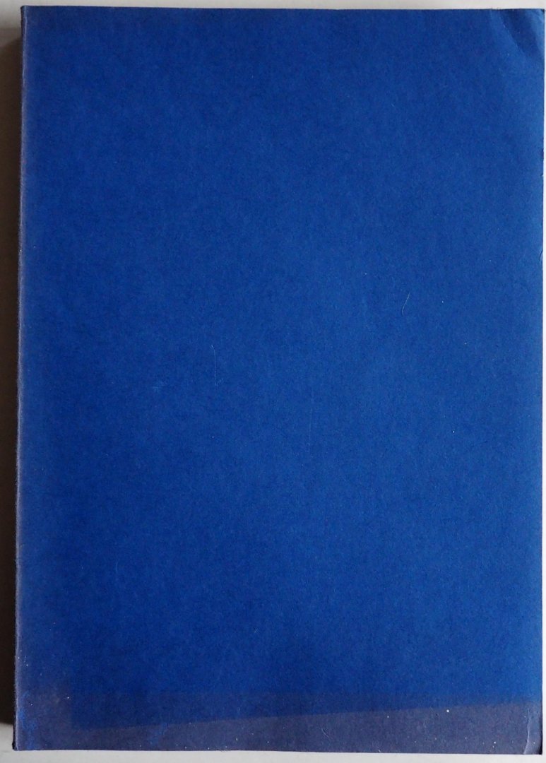 Geesink M S, Doornenbosch Paul e.a. - BNTL Bibliografie van de Nederlandse taal- en literatuurwetenschap 1981 Aangevuld met de bibliografie van de Friese taal- en literatuurwetenschap 1981 met aanvulling vanaf 1975