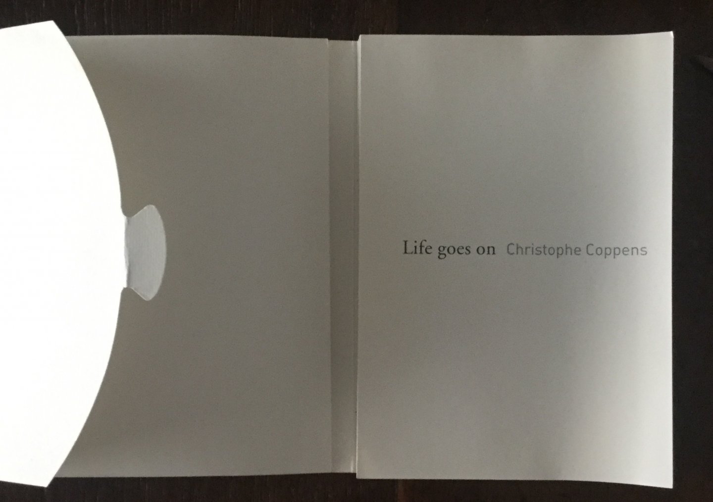 Stubbe, Els ; Christophe Coppens ; Mark Lagrange et al. - Life goes on The dollhouse II Christophe Coppens