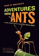 Adventures among Ants - A Global Safari with a Cast of Trillions - A Global Safari with a Cast of Trillions