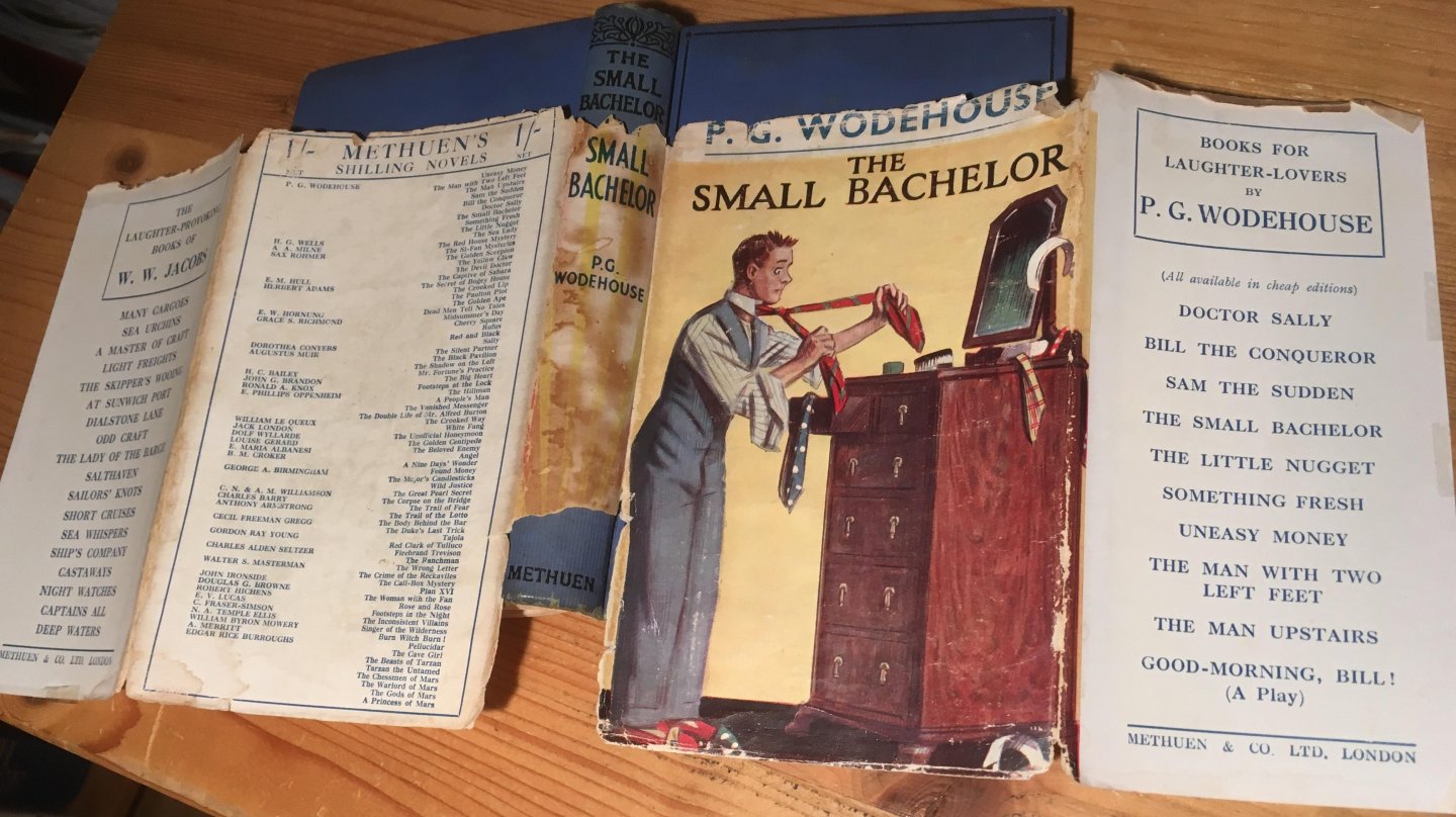 Wodehouse, PG - The Small Bachelor