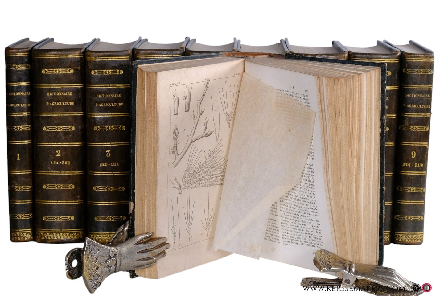 Vivien, (sous la dir. de) - Cours complet d'agriculture ou Nouveau dictionnaire d'agriculture théorique et pratique d'économie rurale et de médecine vétérinaire; rédigé sur le plan de l'ancien dictionnaire de l'abbé Rozier, par le baron de Morogues, Mirbel, Héricart...