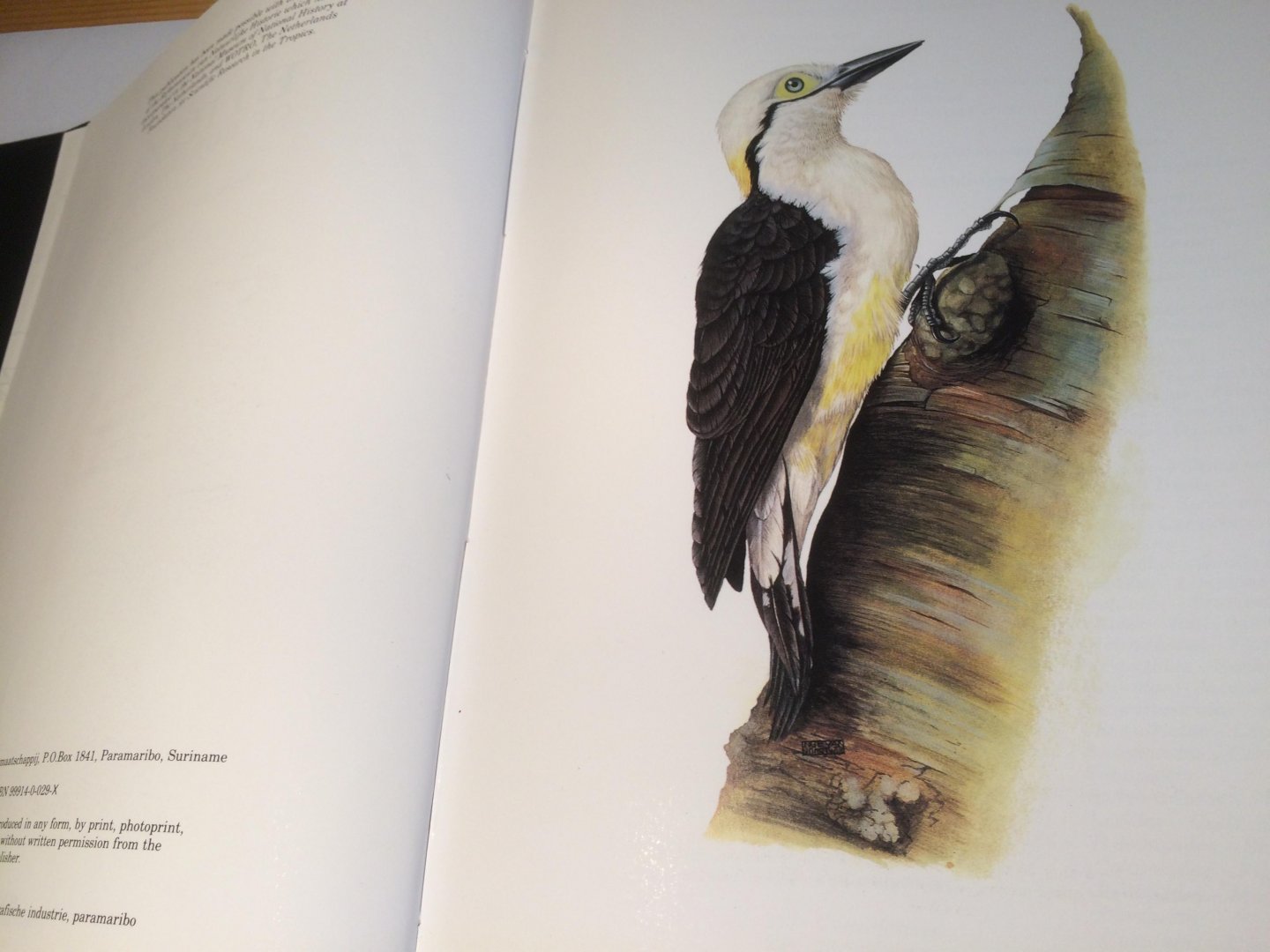 Haverschmidt, F & G Mees - Birds of Suriname