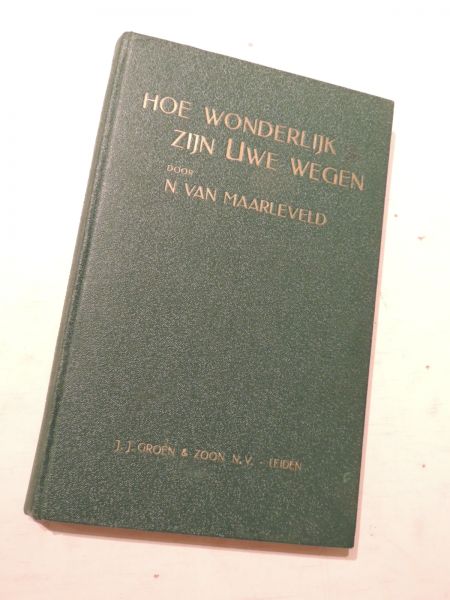 MAARLEVELD, N. van - Hoe wonderlijk zijn Uwe wegen. 's levens raadselen in eene familie.