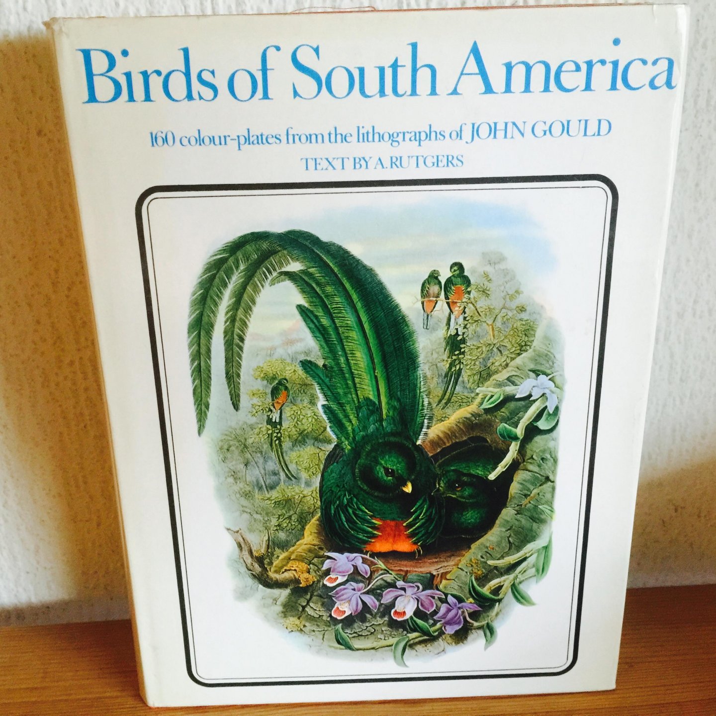 Rutgers - Birds of South America