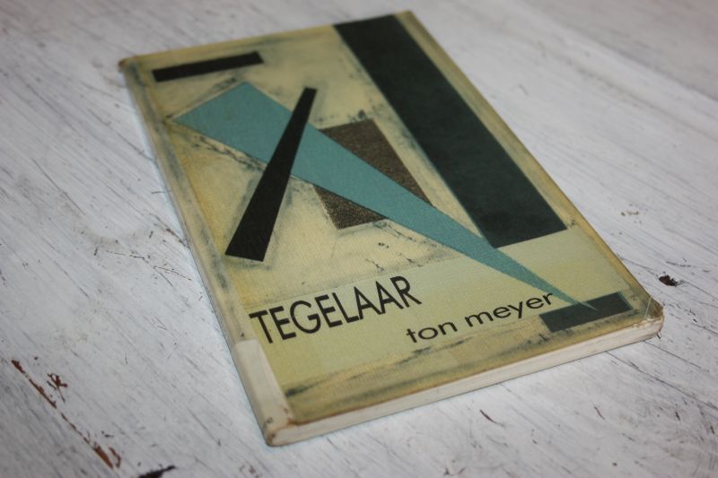 Meyer Ton - TEGELAAR, de laatste dagen van een vereenzaamde, aan de drank geraakte leraar.