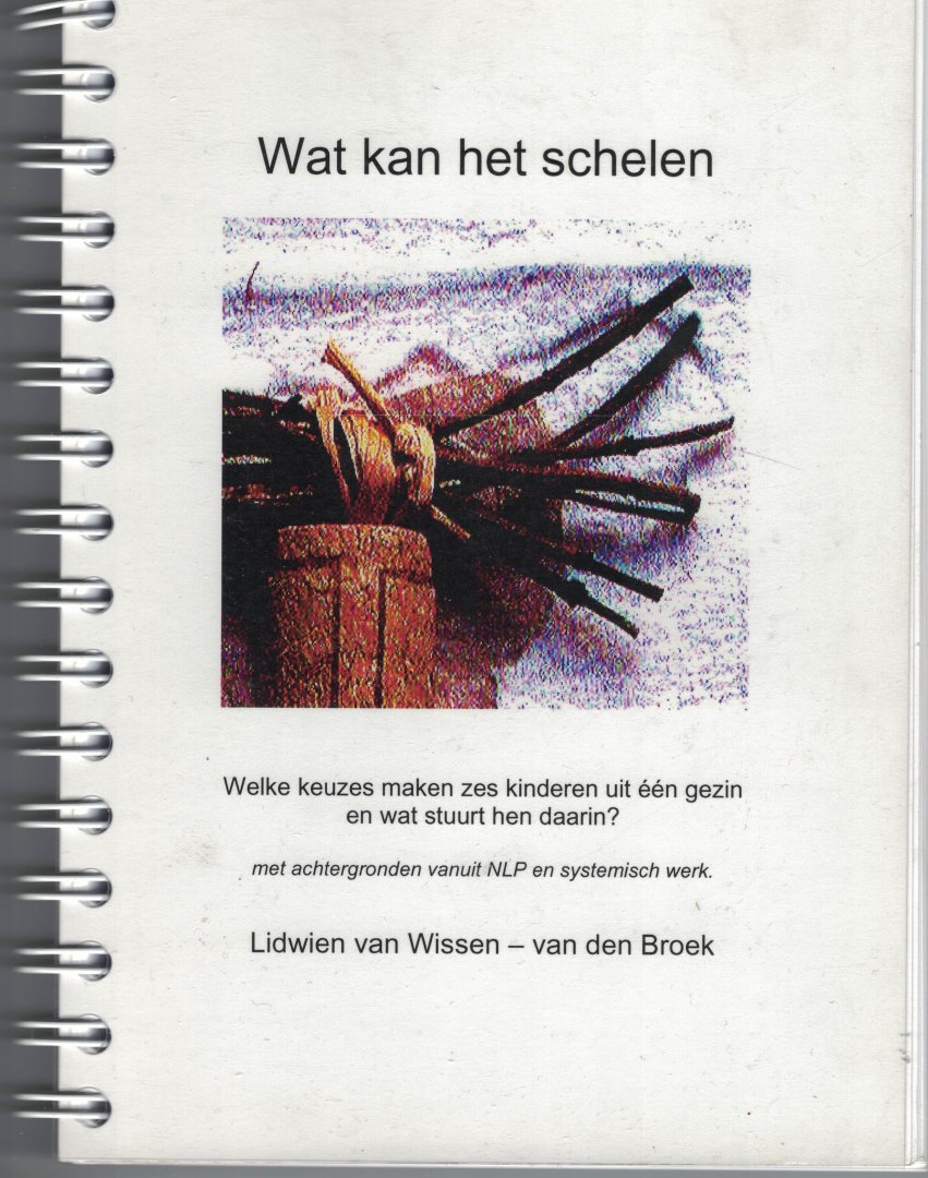 Wissen-van den Broek, Lidwien van - Wat kan het schelen - Welke keuzes maken zes kinderen uit één gezin en wat stuurt hen daarin?