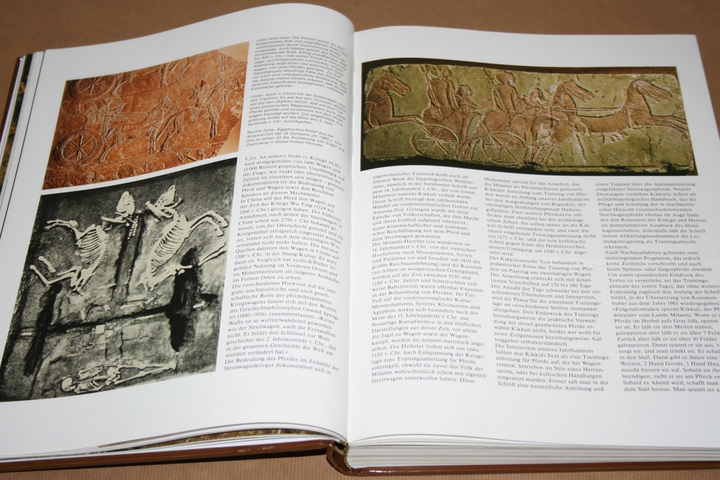 Arnim Basche - Geschichte des Pferdes