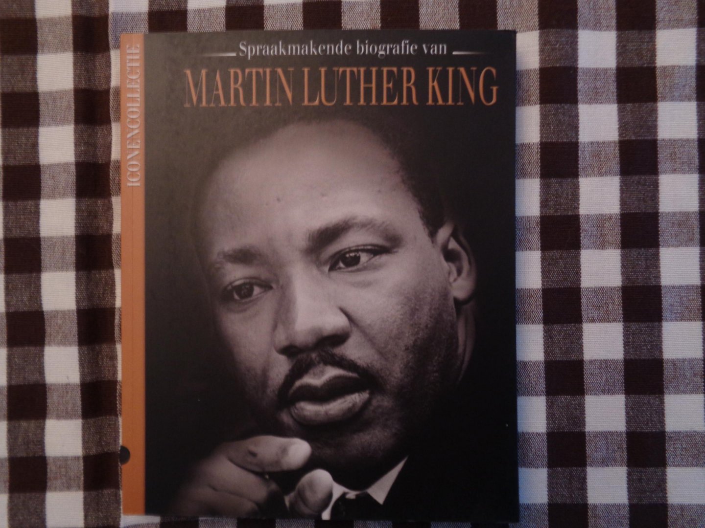 anneke drijver - martin luther king