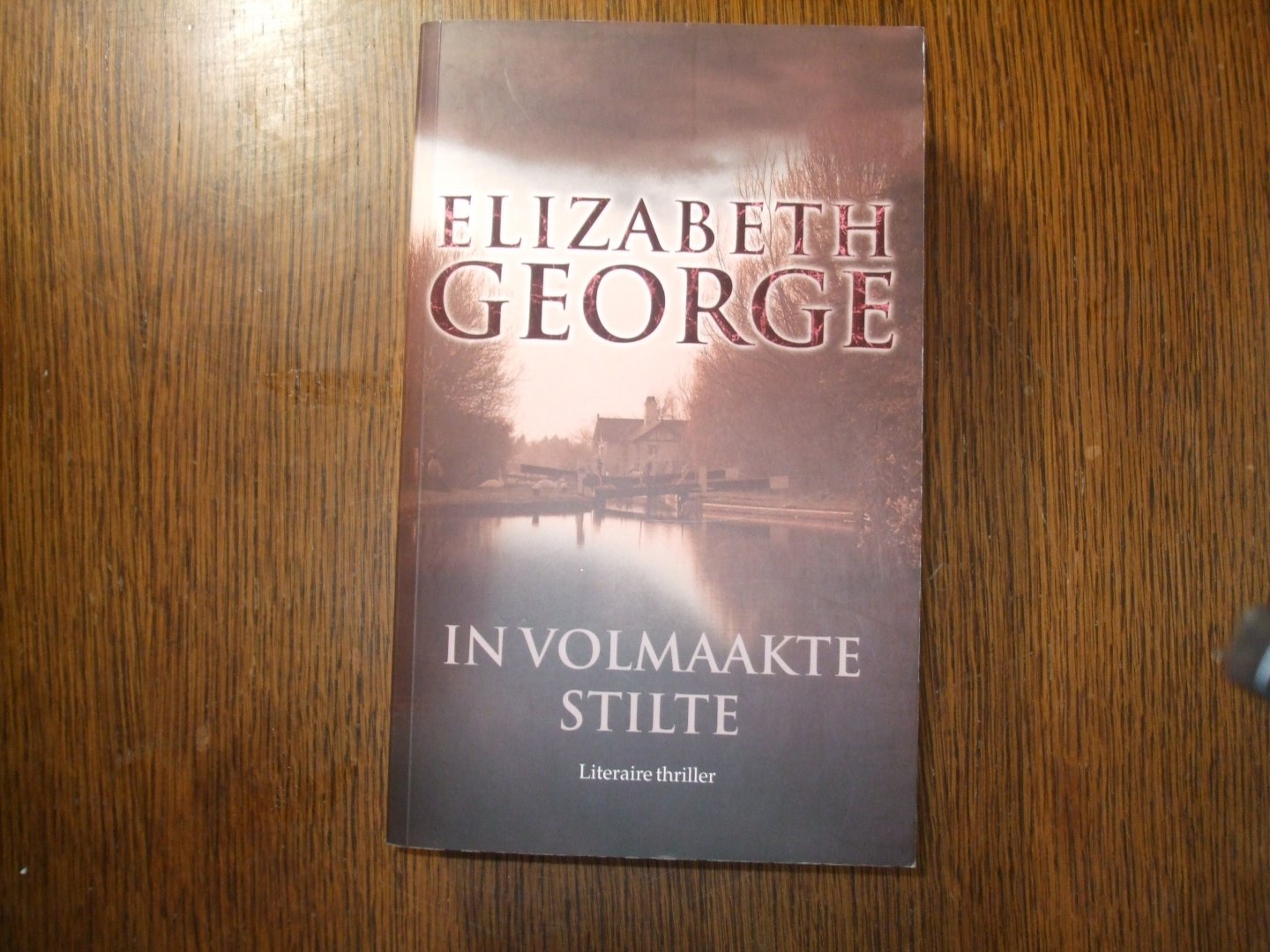 George, E. - In volmaakte stilte