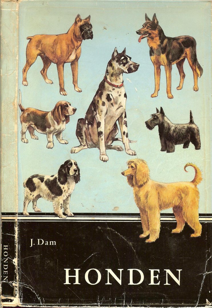 Dam, J. H. ook de  Illustraties en Omslag zijn van de auteur - Honden van Airedale Terrier tot Afghaanse windhond