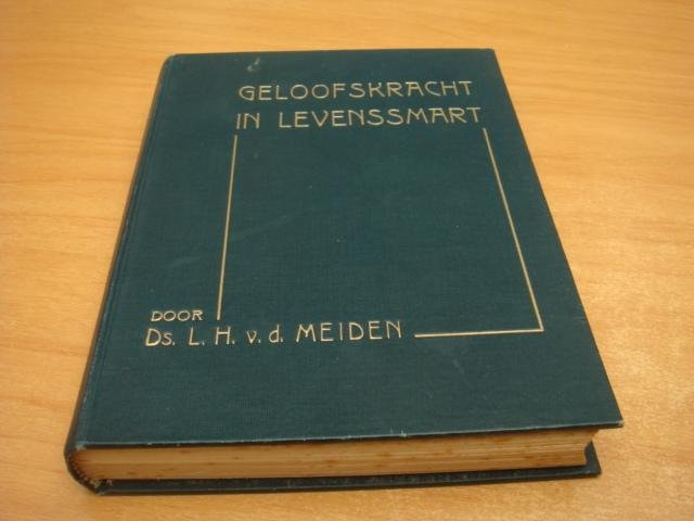 Meiden, L.H v.d - Geloofskracht in levenssmart.