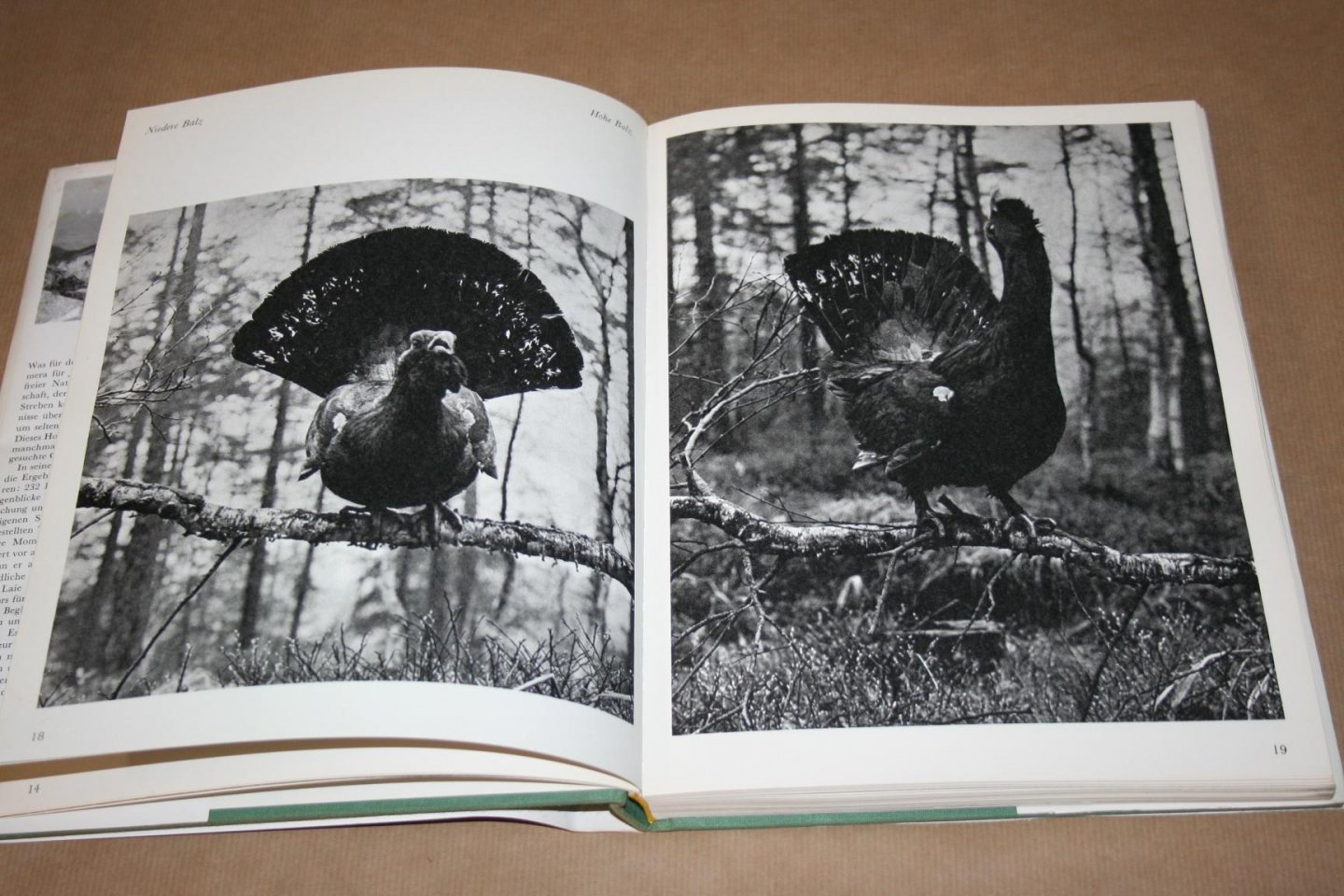 Jaroslav Holecek - Die stille Jagd -- Mit der Kamera auf der Pirsch