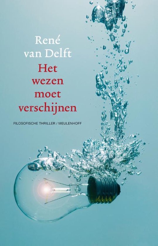 Delft, René van - Het wezen moet verschijnen