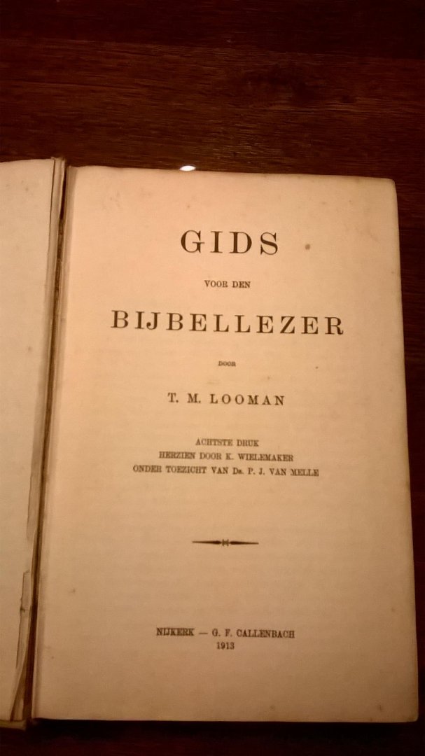 Looman T.M. - Gids voor den bijbellezer