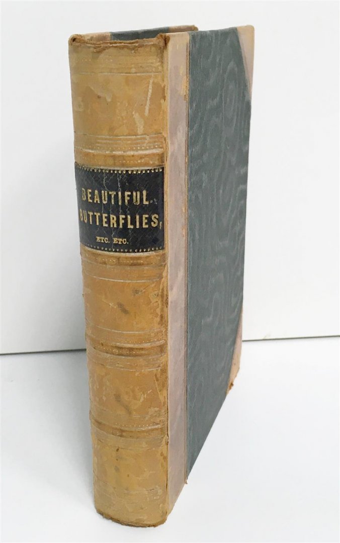 Adams, Henry Gardiner - ( 4 books in one vollume ) Beautiful butterflies: the British species described and ill. BOUND WITH Humming Birds described and ill...BOUND WITH Nests and eggs of familiar birds described etc.. BOUND WITH Beautiful shells their nature....
