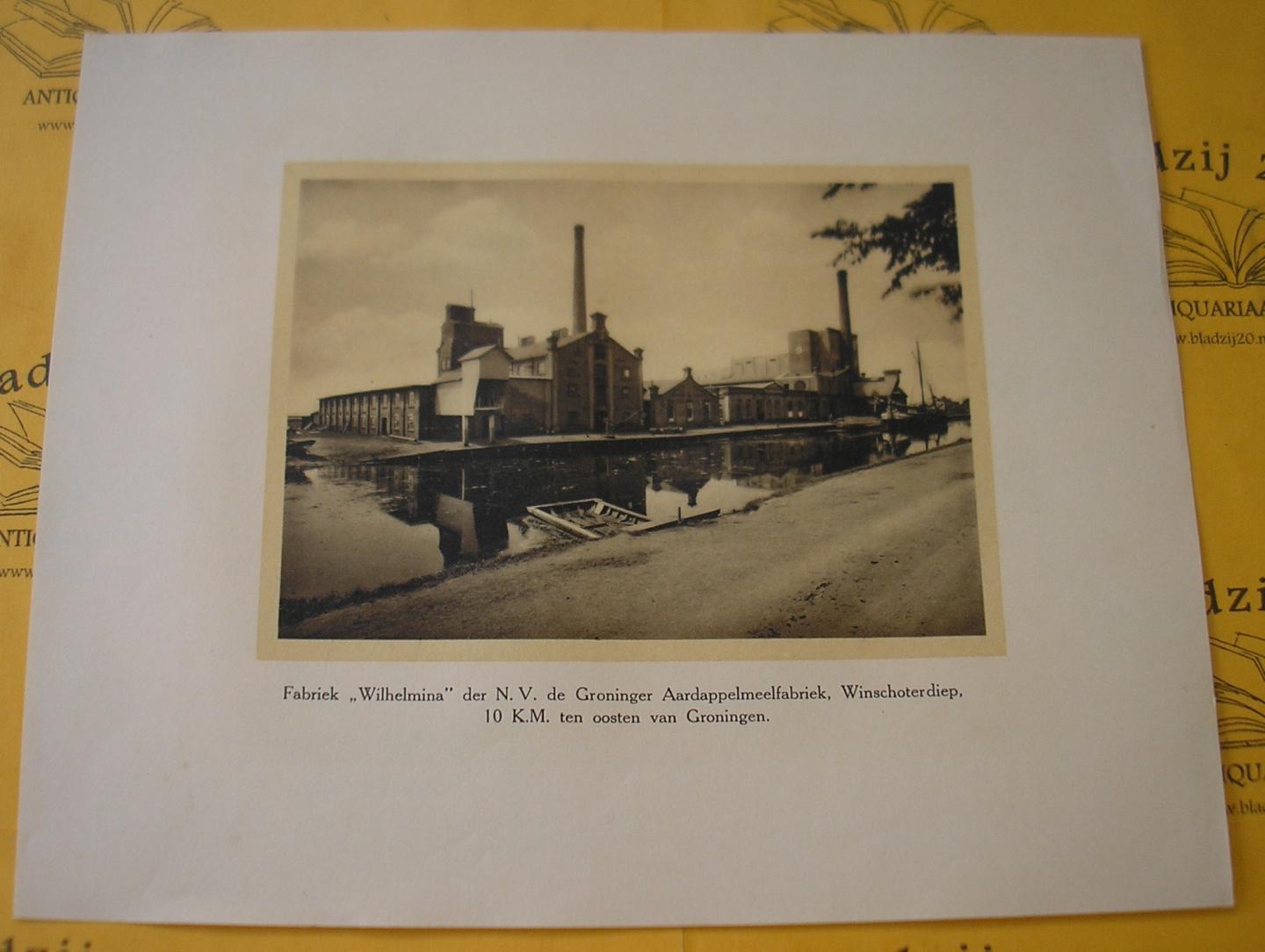 (3003) Afbeelding - Fabriek "Wihelmina" der N.V. de Groninger Aardappelmeelfabriek, Winschoterdiep, 10 K.M. ten oosten van Groningen