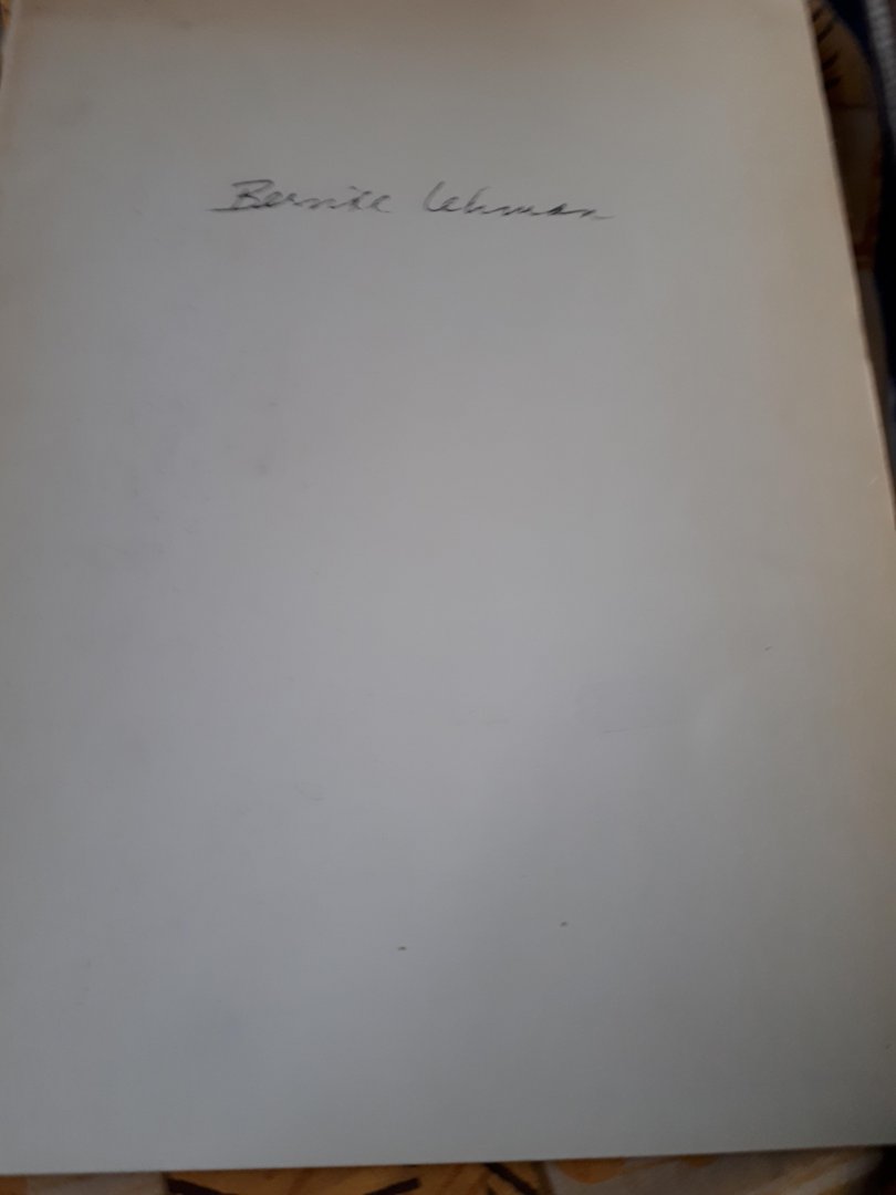 Lehman Bernice - Bernice tekenen