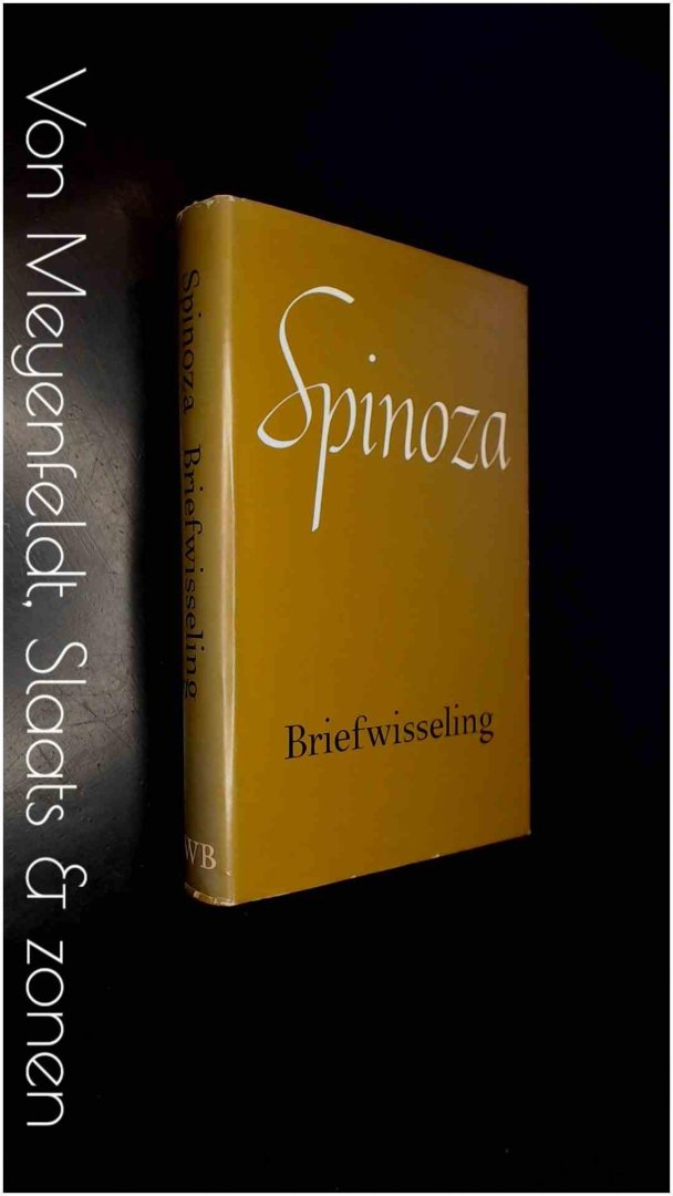 Spinoza - Briefwisseling