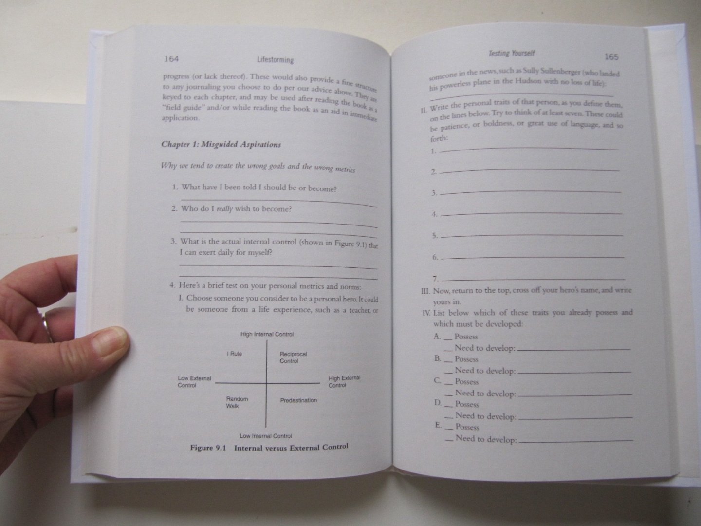 Alan Weiss - Marshall Goldsmidt - Lifestorming - creating meaning and achievement in your career and life