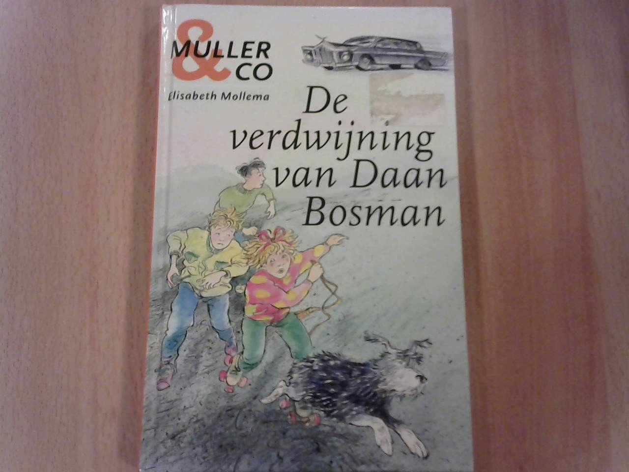 Mollema, Elisabeth / tekeningen Alice Hoogstad - De verdwijning van Daan Bosman