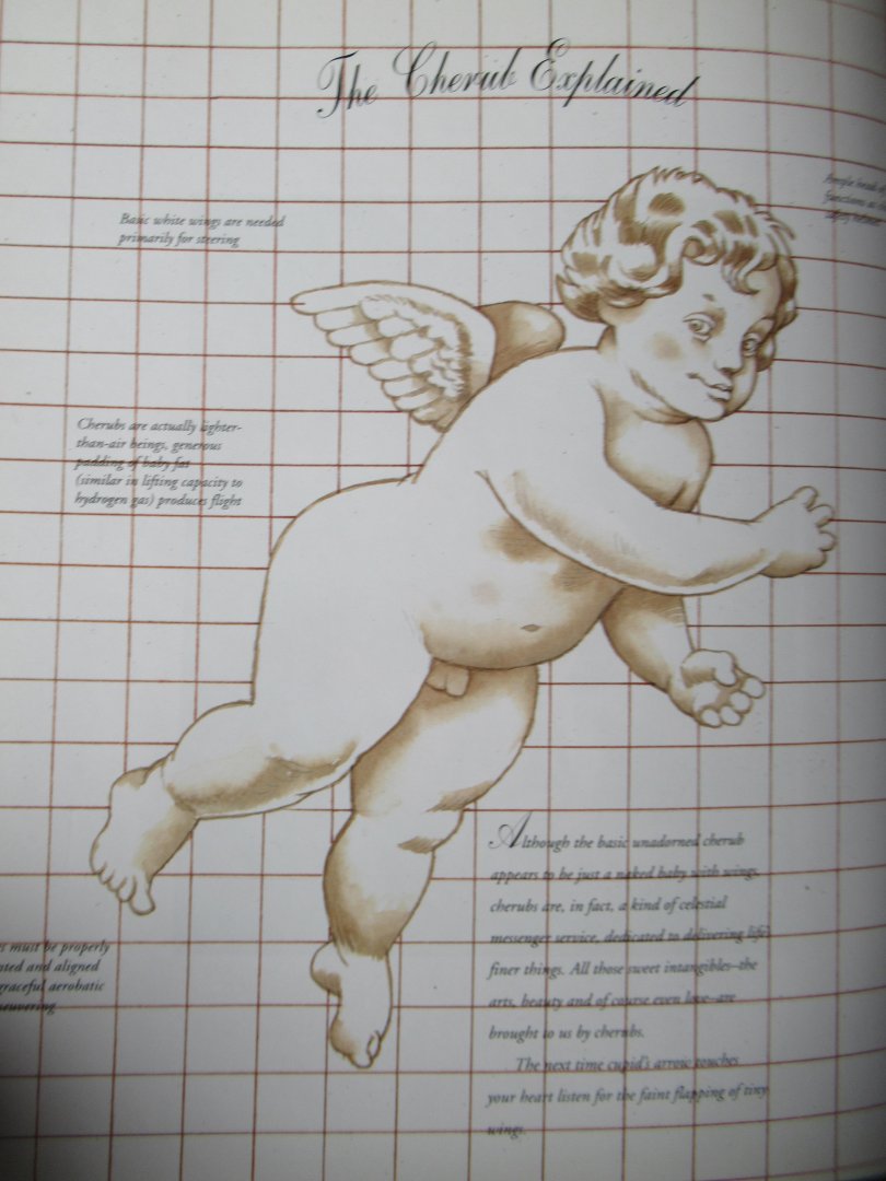 Nagel, Alexander - Cherubs, angels of love