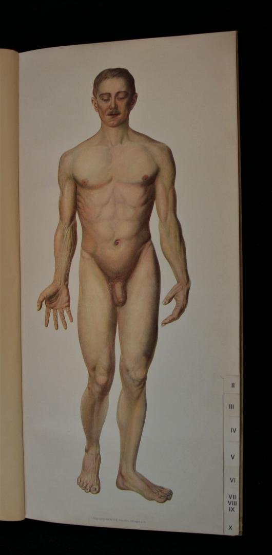 Crämer-Kotzian - Der Menschliche Körper (Mann und Weib) in 54 farbigen anatomischen Tafeln und zerlegbaren Modellen (22 foto's)